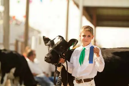 4h animals 5
