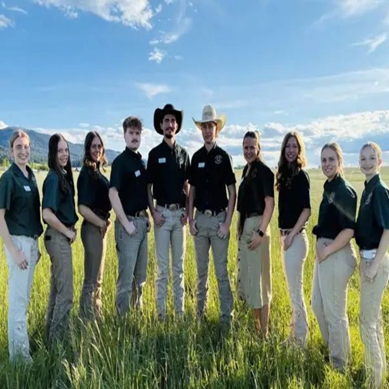 Home ic ambassadors