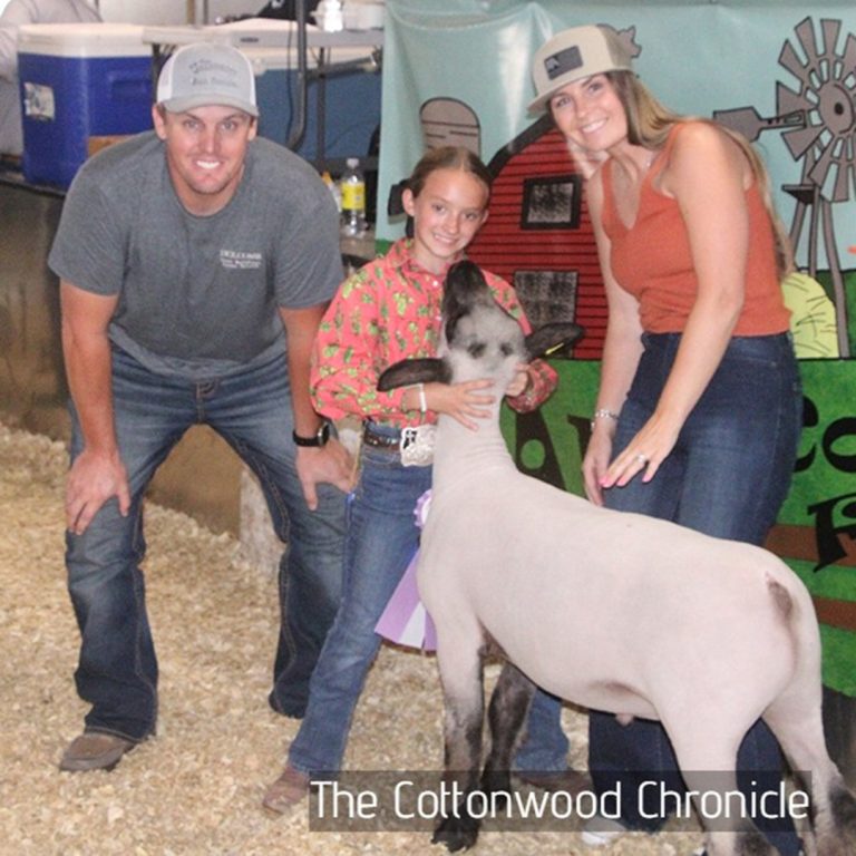 Home ic cc dakotanoursercqsheep